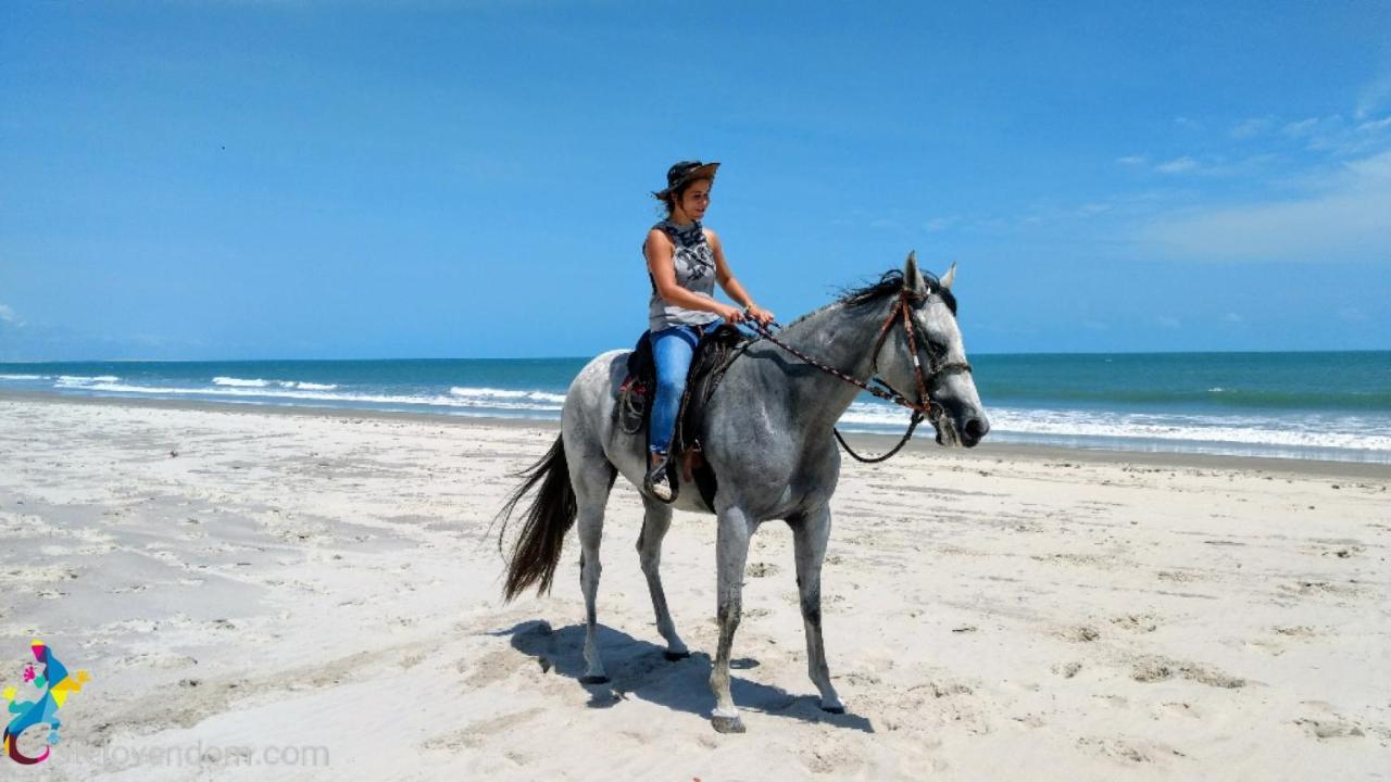 Castelo Vendom Ecolodge 파라주루 외부 사진